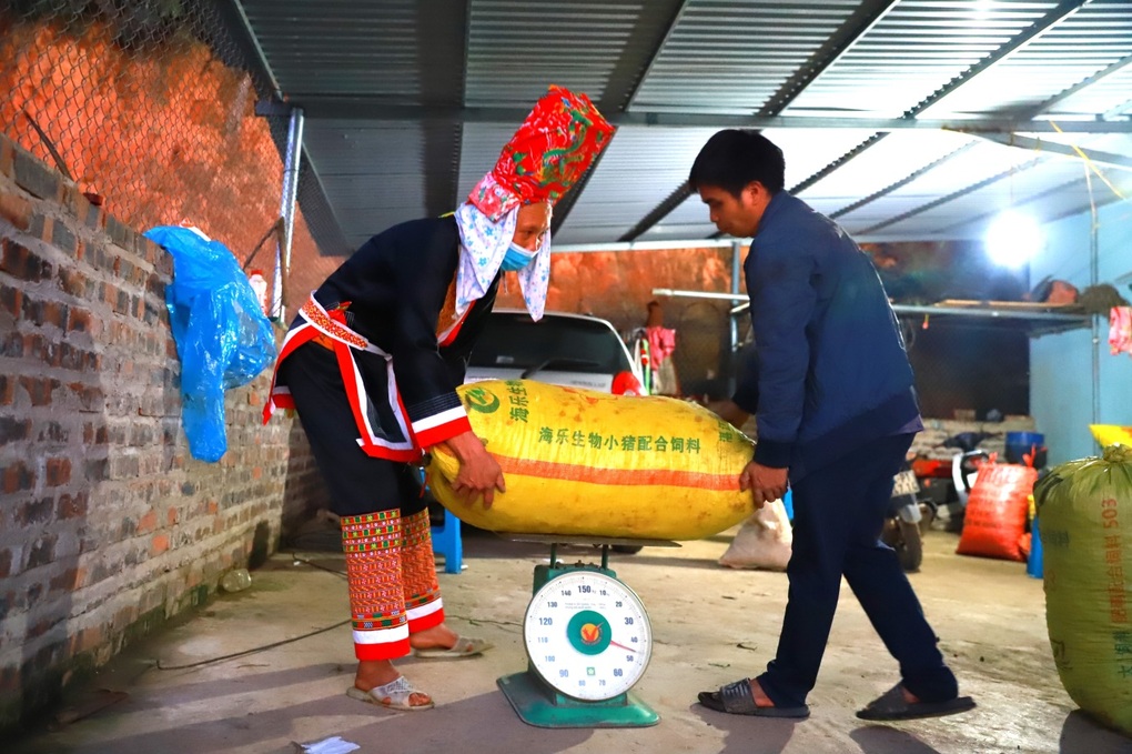 Người phụ nữ Dao thu nhập cả trăm triệu đồng/năm nhờ chăn nuôi giỏi - 2 Người phụ nữ Dao thu nhập cả trăm triệu đồng/năm nhờ chăn nuôi giỏi - 2