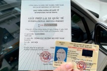 Sở muốn tạm dừng cấp đổi giấy phép lái xe, tỉnh yêu cầu không làm gián đoạn