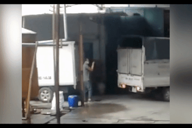 Suýt mất mạng vì thiếu kinh nghiệm khi xi-nhan cho tài xế lùi xe