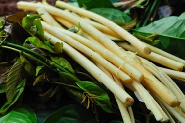 Canh thụt và đọt mây – món ăn đãi khách quý của người Tây Nguyên