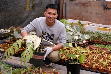 9X kiếm tiền tỷ, trải lòng góc khuất phía sau nghề "đếm lá tính tiền"