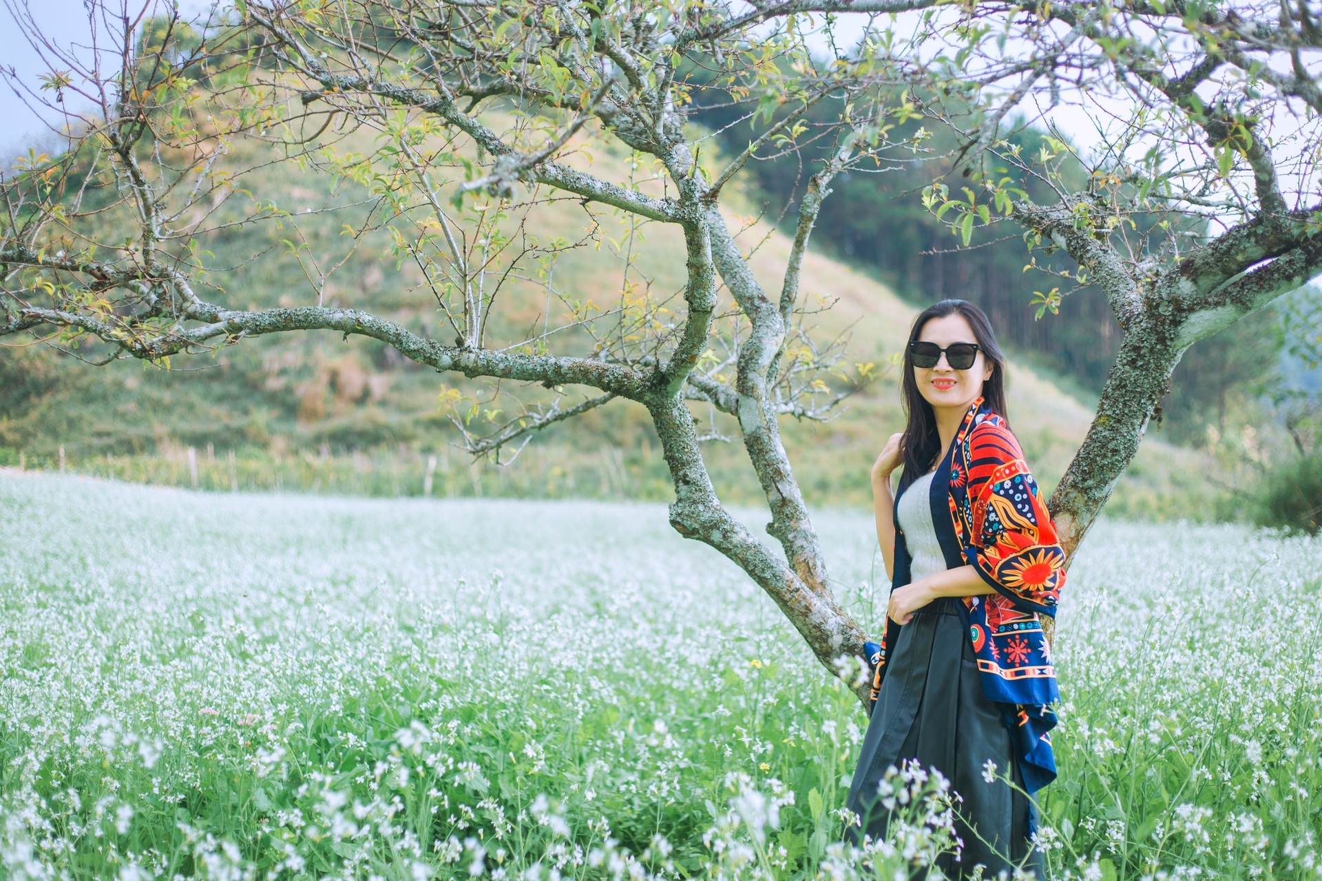 White mustard flowers are vast in Moc Chau, tourists from everywhere flock to take photos - 5