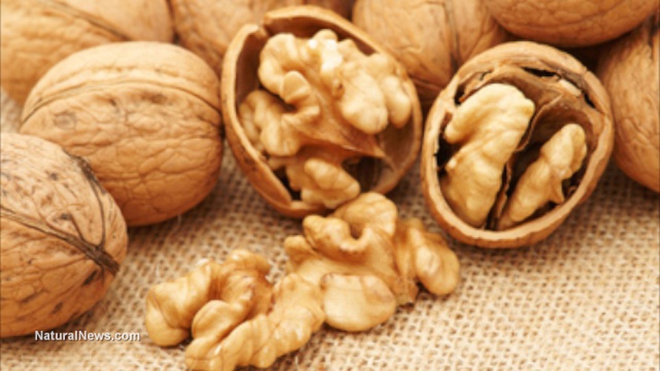 Ăn thêm một lượng nhỏ quả óc chó mỗi ngày giúp chống ung thư vú hiệu quả - 1 Ăn thêm một lượng nhỏ quả óc chó mỗi ngày giúp chống ung thư vú hiệu quả - 1