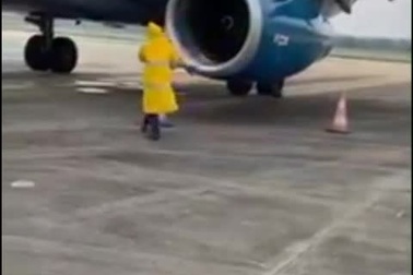 Cả đàn "khách không mời" trong động cơ, chuyến bay đi Hà Nội phải tạm dừng