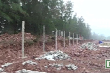 Đào ao nuôi tôm, phá luôn rừng phòng hộ