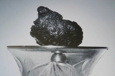 Chiêm bái xá lợi Trái tim Bồ tát Thích Quảng Đức từ ngày 3/5