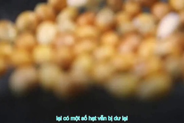 Tại sao một số hạt ngô lại không nổ?