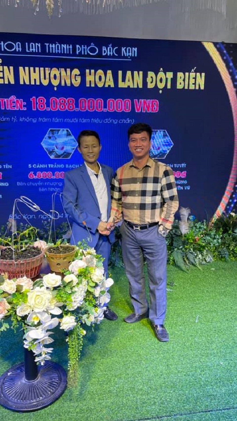 Nghệ nhân Nguyễn Duy Hòa chia sẻ kinh nghiệm trồng và chăm sóc lan đột biến - 5 Nghệ nhân Nguyễn Duy Hòa chia sẻ kinh nghiệm trồng và chăm sóc lan đột biến - 5