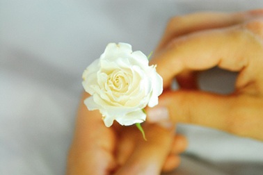 Tình yêu cao đẹp