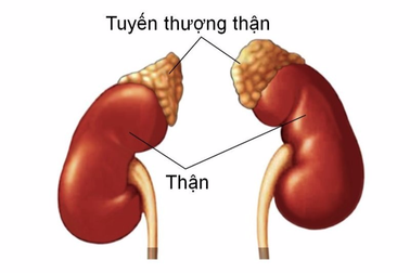 Bé trai tăng cân vù vù, chân tay rậm lông vì sai lầm trong kê đơn thuốc