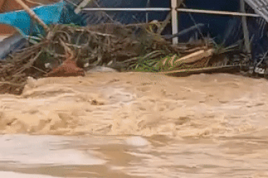 Mưa lớn làm sập 2 căn nhà ở Kon Tum