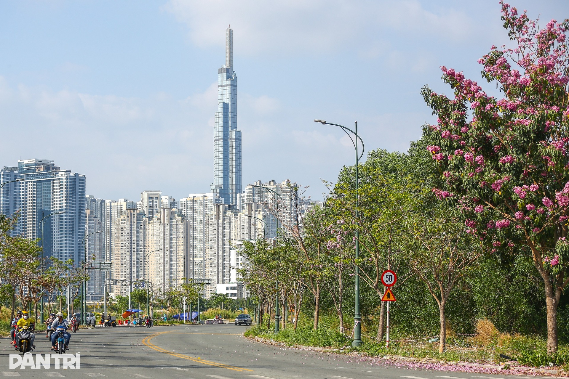 Giới trẻ háo hức chụp ảnh với hoa kèn hồng đang mùa nở rộ ở TPHCM - 14