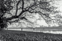 Chầm chậm mùa đông xứ Huế gây nhớ thương