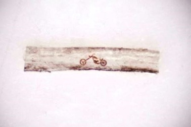 Tác phẩm nghệ thuật trên tóc nhỏ hơn tế bào máu