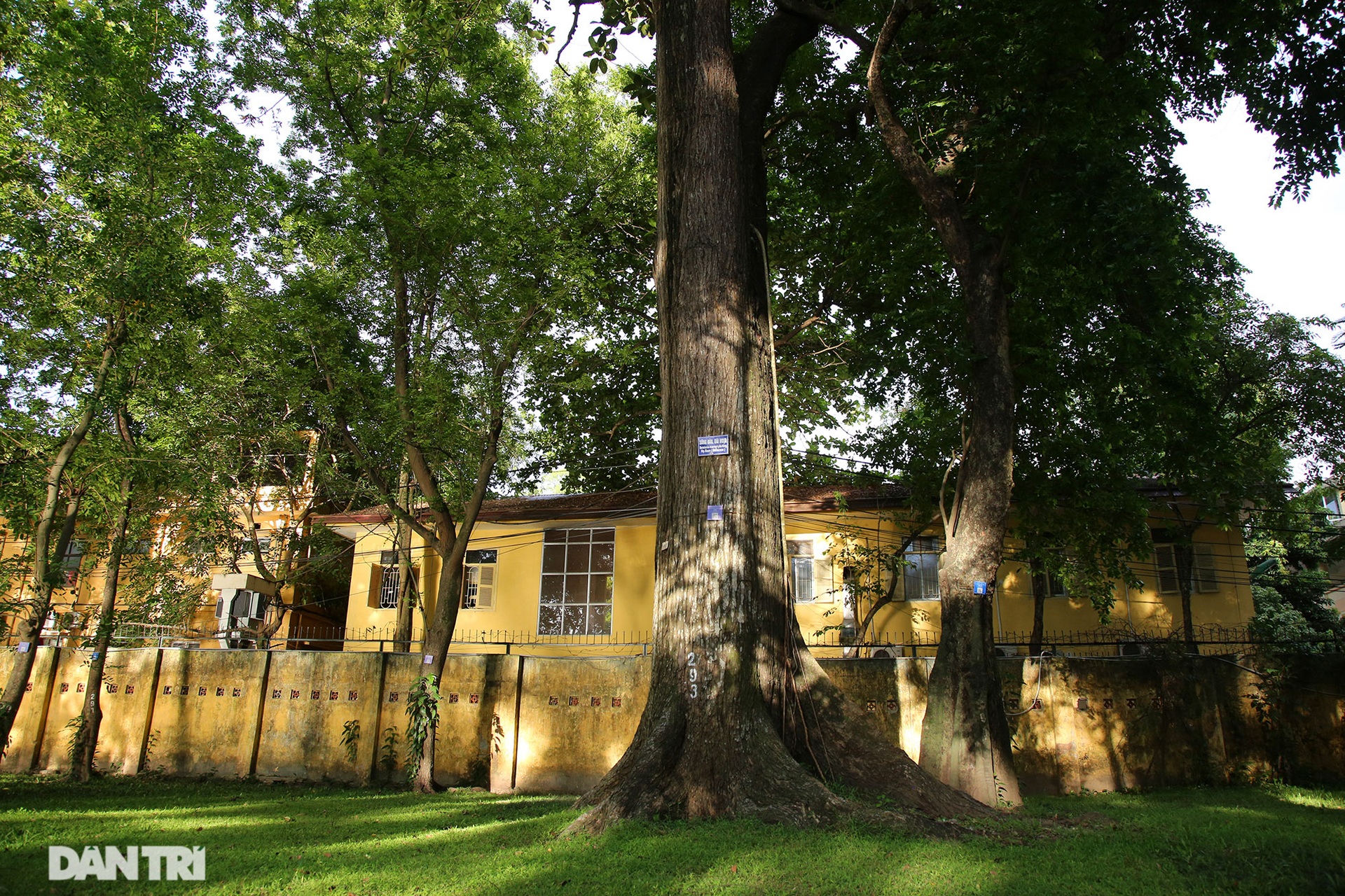 Lá phổi xanh khổng lồ, mát rượi giữa lòng Thủ đô - 13