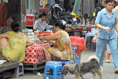 Chó, mèo phải rọ mõm khi ra đường