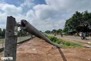 Ngành điện lên tiếng về chất lượng hàng loạt trụ bị gãy đôi ở Gia Lai