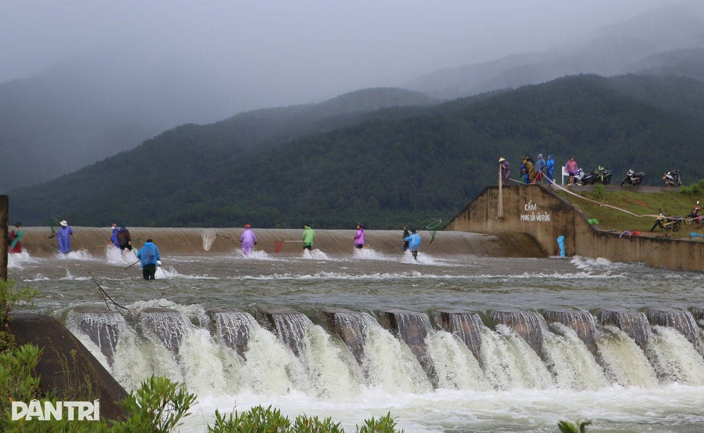 Hàng chục người liều mình lao xuống dòng nước lũ chảy xiết bắt cá - 2 Hàng chục người liều mình lao xuống dòng nước lũ chảy xiết bắt cá - 2