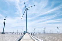 Loạt dự án điện gió vừa rục rịch vận hành đã "vấp" cảnh báo lo ngại!