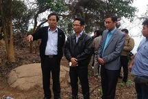 Đình chỉ Hạt trưởng Kiểm lâm vụ người dân phá rừng Sơn Trà