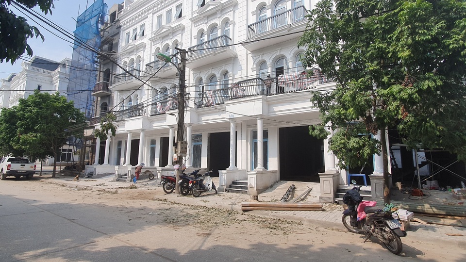 Lãnh đạo phường Đại Mỗ nói về vụ cây xanh bị chặt trong đêm - 2 Lãnh đạo phường Đại Mỗ nói về vụ cây xanh bị chặt trong đêm - 2