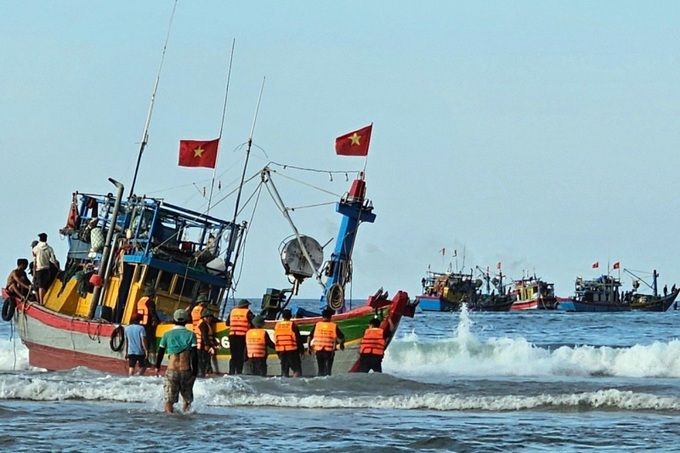 Ảnh minh hoạ 