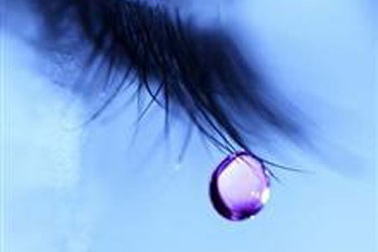 7 lý do để “khóc”