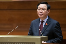 Khoảng 11,5 triệu lượt ý kiến góp ý dự án Luật Đất đai sửa đổi