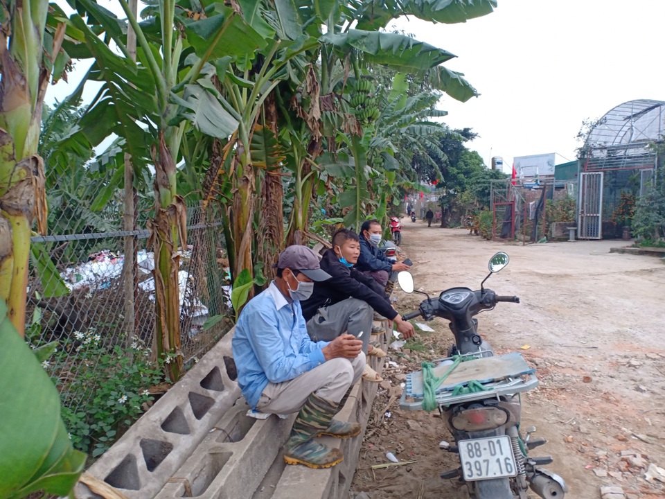 Hà Nội: Người chở đào, quất thuê mong kiếm thêm thu nhập dịp cận Tết - 4 Hà Nội: Người chở đào, quất thuê mong kiếm thêm thu nhập dịp cận Tết - 4