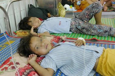 3 bà cháu nhập viện vì ăn nhầm nấm lạ