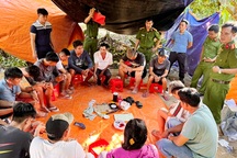 Triệt xóa sới bạc trong vườn xoài ở An Giang