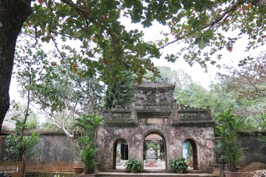 Đà Nẵng có thêm 7 Cây di sản ở danh thắng Ngũ Hành Sơn