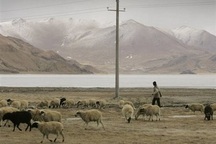 Trung Quốc: Một thị trấn bị cách ly vì  dịch hạch thể phổi 