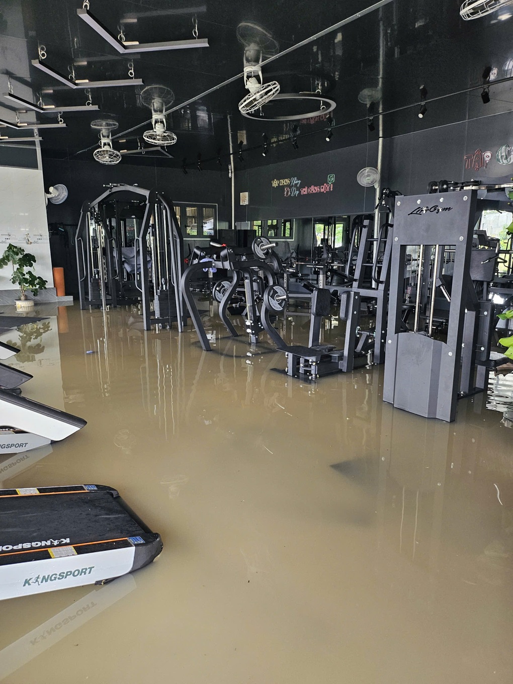 Mới mở phòng gym 2 tháng, chủ hốt hoảng vác tạ chạy lũ” - 1