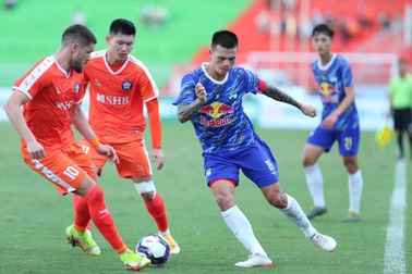 Thưởng Tết với bóng đá Việt Nam: Mỗi cây mỗi hoa...