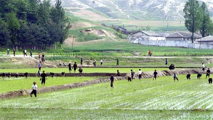 FAO kêu gọi hành động để giảm lượng lương thực lãng phí mỗi năm - Ảnh 1. FAO kêu gọi hành động để giảm lượng lương thực lãng phí mỗi năm - Ảnh 1.