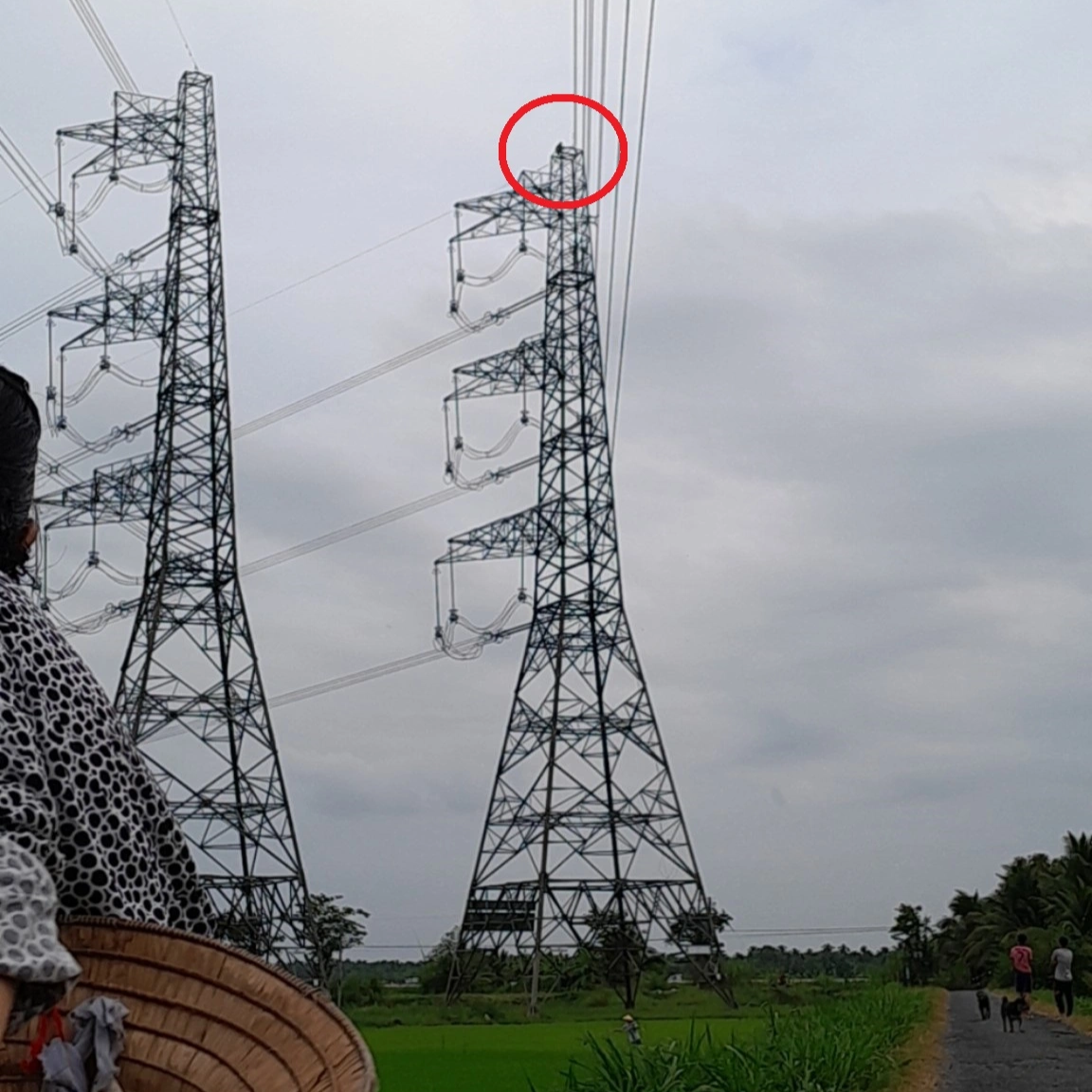 Người đàn ông miền Tây tay không leo đỉnh trụ điện cao thế 500kV - 1