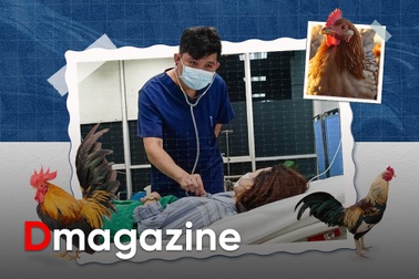 Mầm họa từ bầu trời khiến nửa số bệnh nhân tử vong