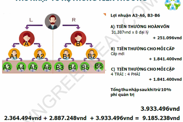Cảnh báo nguy cơ “sập bẫy” khi tham gia đa cấp Greenleaf xuất xứ Trung Quốc