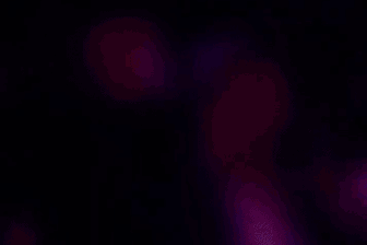 G-Dragon đăng ảnh đêm diễn bùng nổ tại Việt Nam, hẹn gặp lại trong tối 9/11