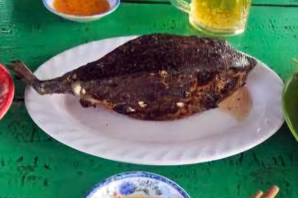 Quán ăn ở Nha Trang bị tố chặt chém, bán cá bò hòm 3,5 triệu đồng/kg - 2 Quán ăn ở Nha Trang bị tố chặt chém, bán cá bò hòm 3,5 triệu đồng/kg - 2