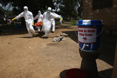 Giải vô địch châu Phi trước nguy cơ bị hoãn vì dịch Ebola