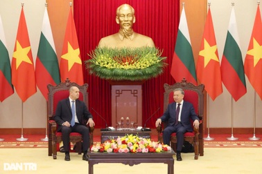 Tổng Bí thư Tô Lâm tiếp Tổng thống Bulgaria Rumen Radev