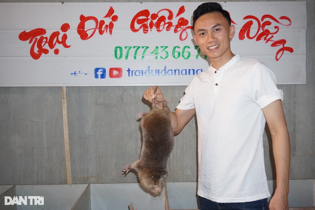 Nuôi loài đặc sản thịt ngon nhức nách, ăn đồ rẻ mà đẻ tiền triệu - 1 Nuôi loài đặc sản thịt ngon nhức nách, ăn đồ rẻ mà đẻ tiền triệu - 1