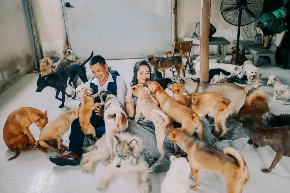 Cặp đôi chụp ảnh cưới độc đáo cùng dàn chó mèo cưng xỉu - 10 Cặp đôi chụp ảnh cưới độc đáo cùng dàn chó mèo cưng xỉu - 10