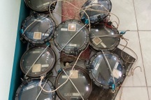 Vụ giấu 10 thiết bị giám sát hành trình: Thu hồi giấy phép 7 tàu cá