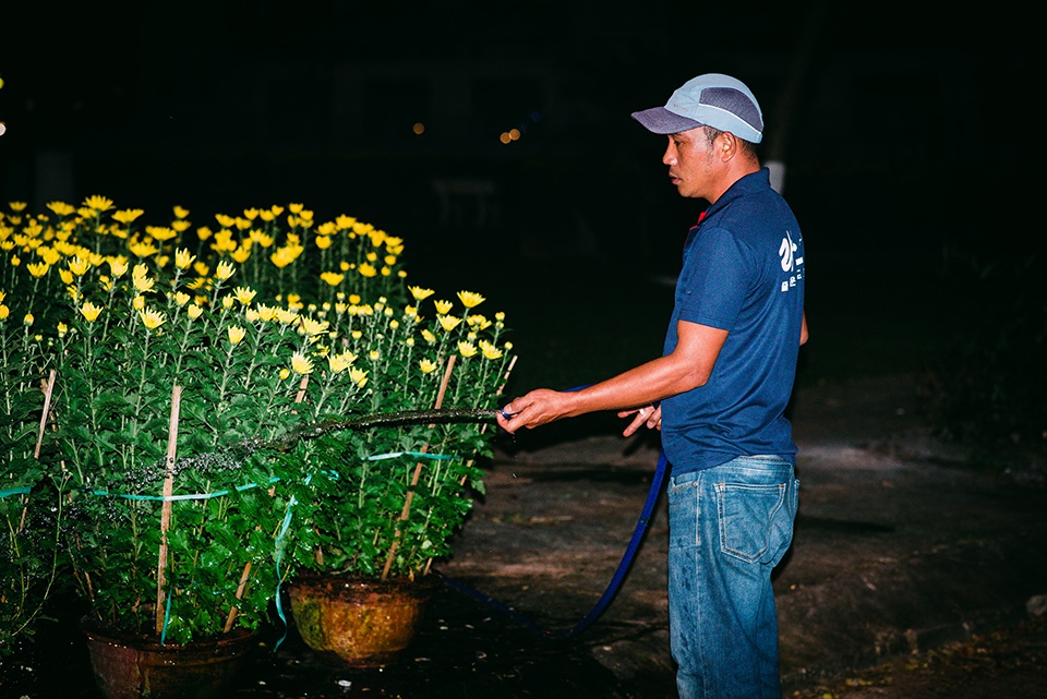Trắng đêm trông cây ở chợ hoa Tết - 8 Trắng đêm trông cây ở chợ hoa Tết - 8