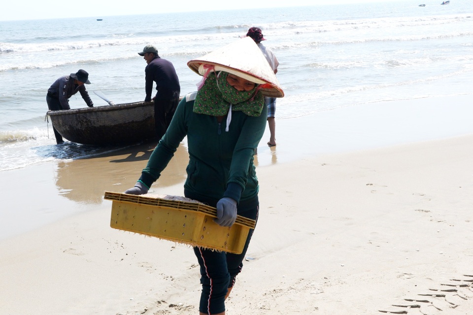 Ngư dân Quảng Nam trúng mùa ruốc biển - 4 Ngư dân Quảng Nam trúng mùa ruốc biển - 4