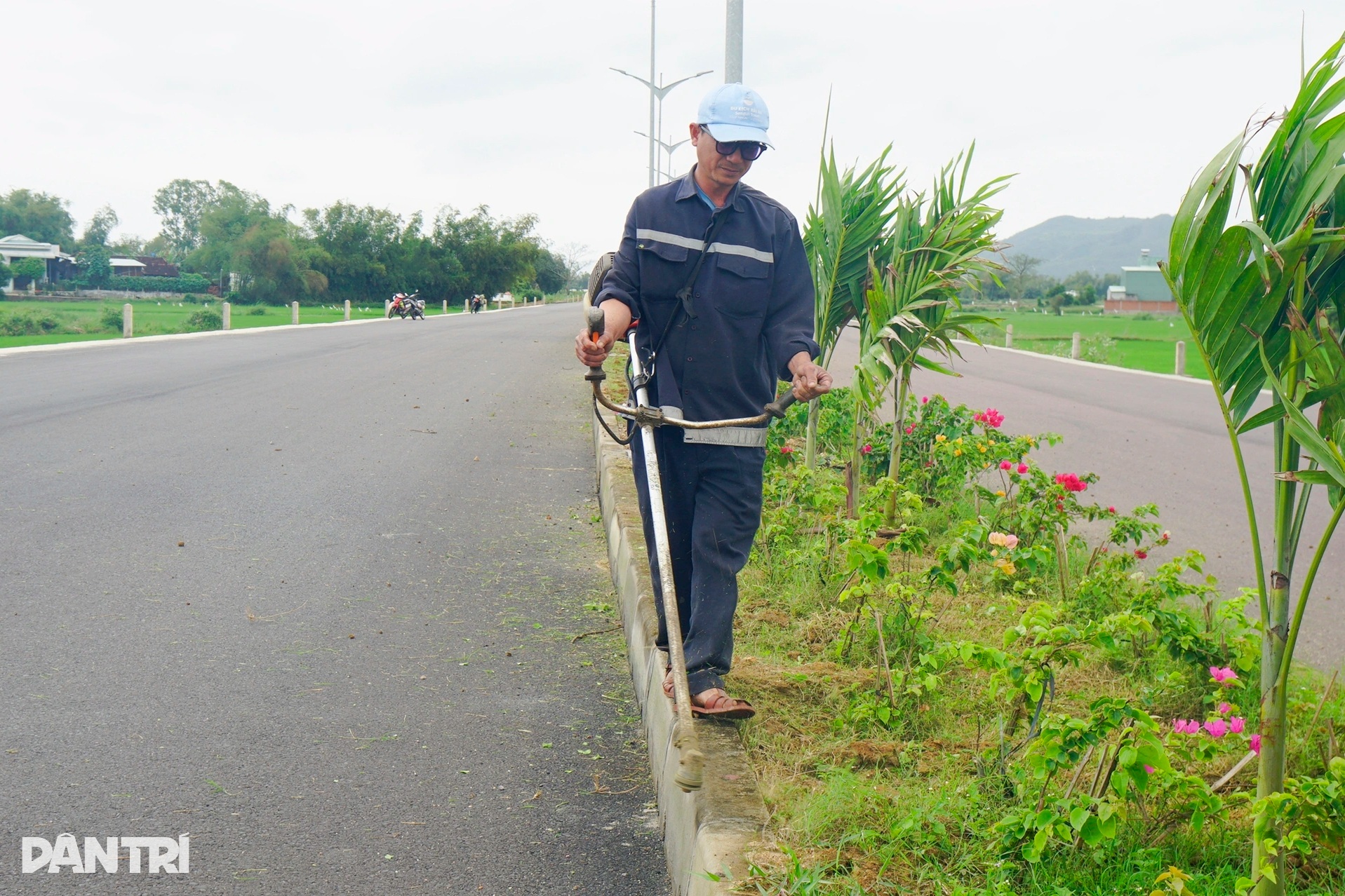 Đường nghìn tỷ băng qua những cánh đồng lúa chín ở miền Trung - 6