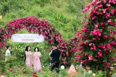 24h vui chơi không hết trải nghiệm ở Sun World Fansipan Legend mùa hè này